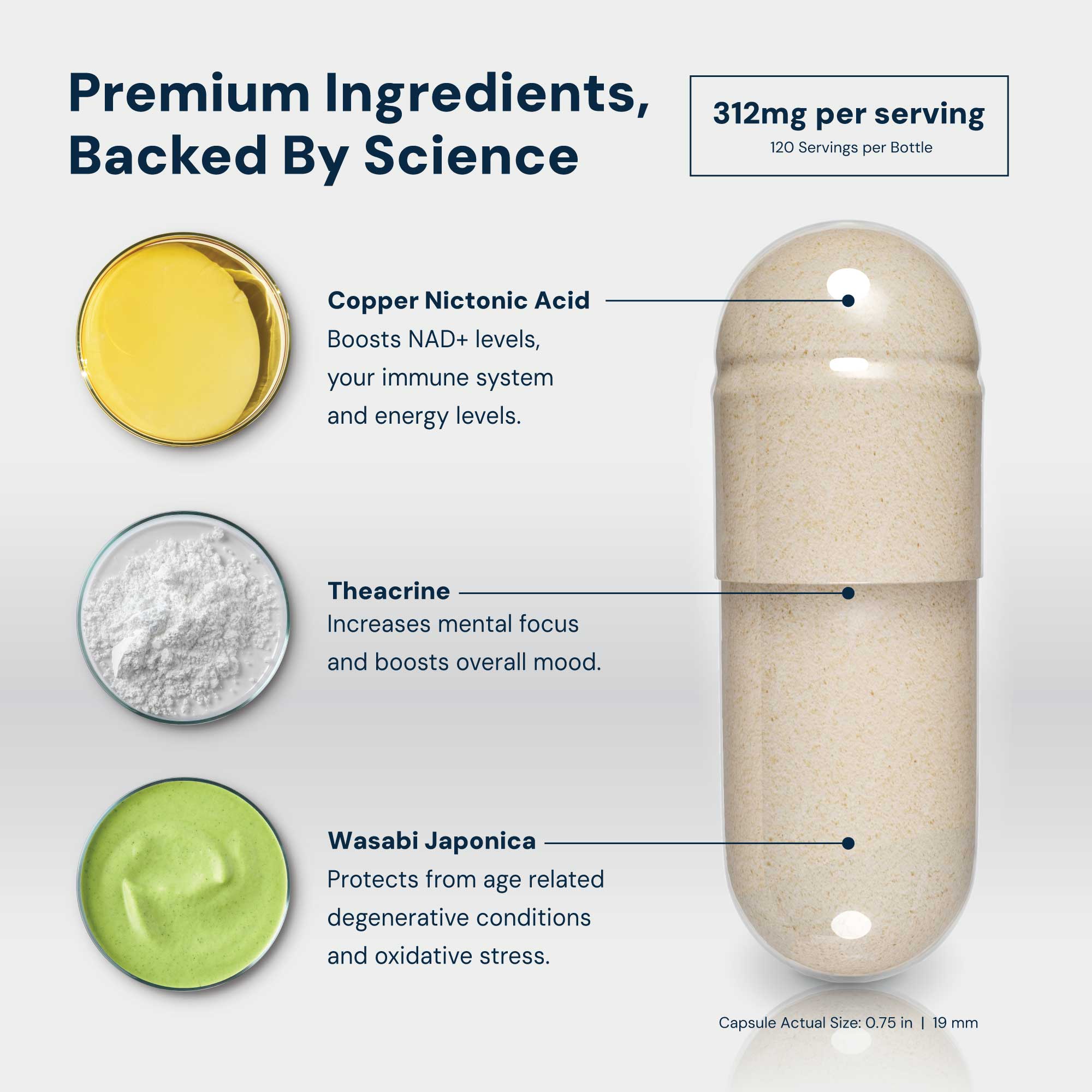 NAD3® 240 • An All Natural NAD+ Booster® Dietary Supplement (4 Month Supply)