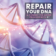 Cell Restoration Bundle | NAD3 + Sirtuins